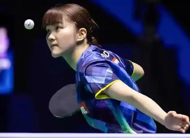 小熊之所以 小熊之所以