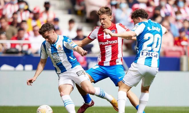 球队将由其 球队将由其